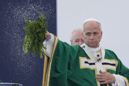 Pope Leo XIV calls for Church to continue fight against sexual abuse