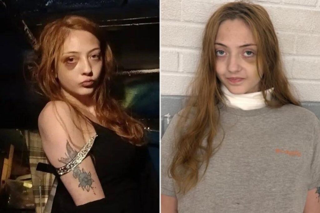 Daughter warned her house was going to become ‘murder scene’ — then stabbed her dad to death: report