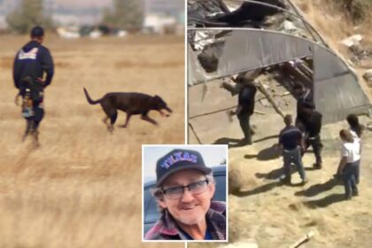 Frantic grave-digging effort in California desert uncovers human remains sparking murder investigation two weeks after man goes missing