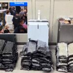Staggering drug haul found at Orlando airport after bizarre attempt to hide evidence