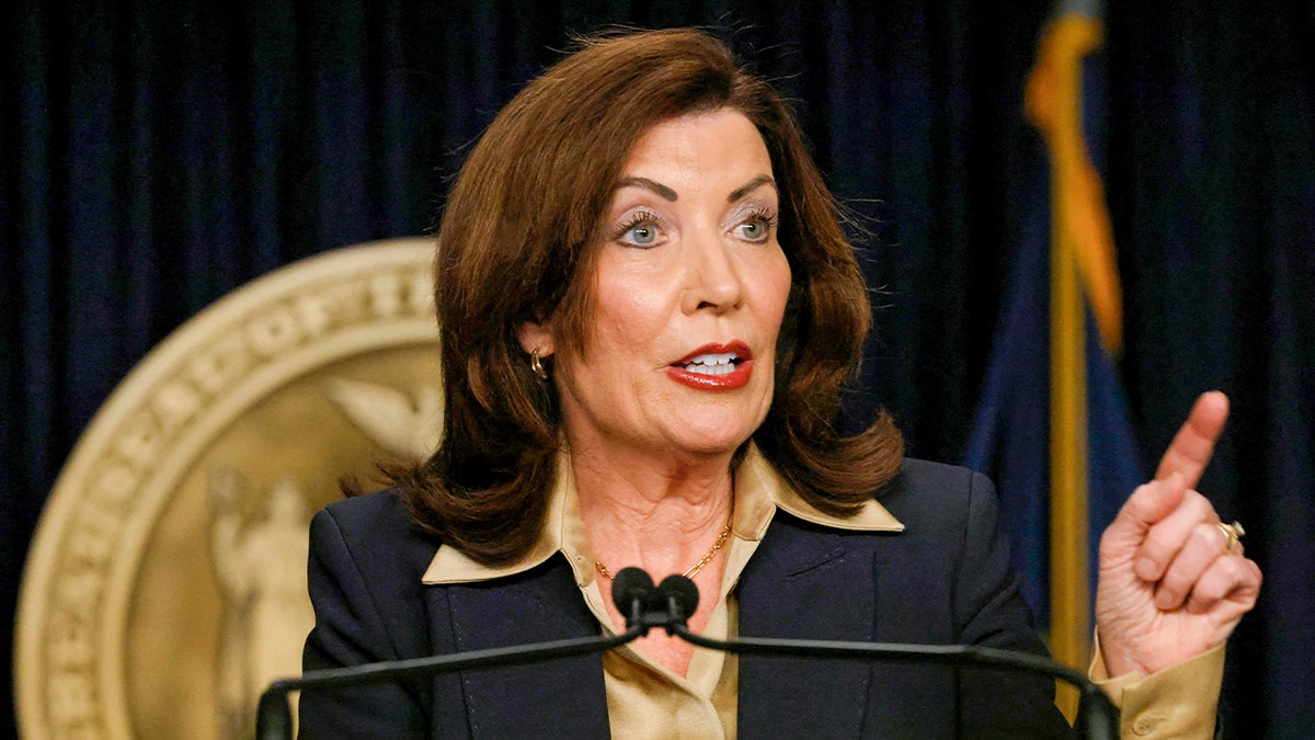 ICE eyes $20M purchase of electric shock gloves as Hochul warns of legal consequences