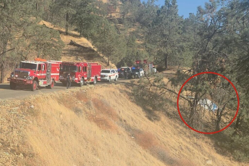 Couple’s intense fight causes partner to drive car off a cliff