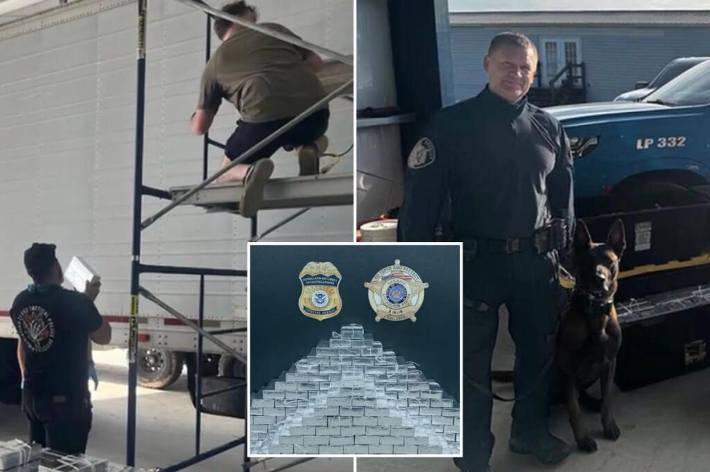 Russian national arrested with nearly 800 pounds of meth in ‘one of the largest’ busts in Louisiana history