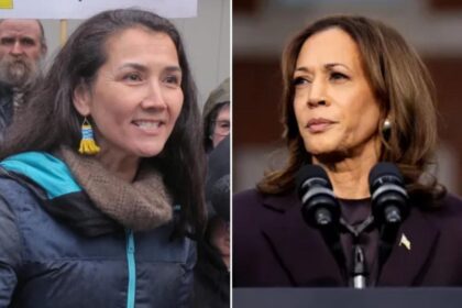 Alaska Democrat turns down support from Kamala Harris ahead of Senate primary