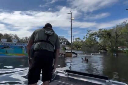 Florida deputies rescue boy floating on piece of fence in floodwaters