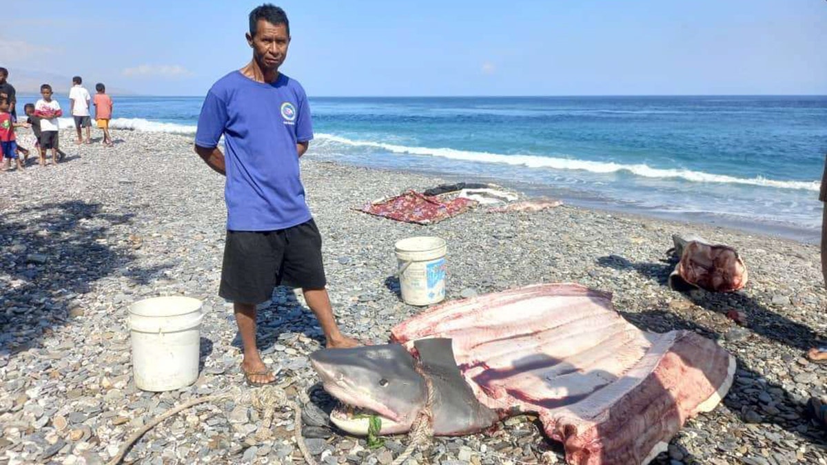 fisherman standing over body of shark on beach