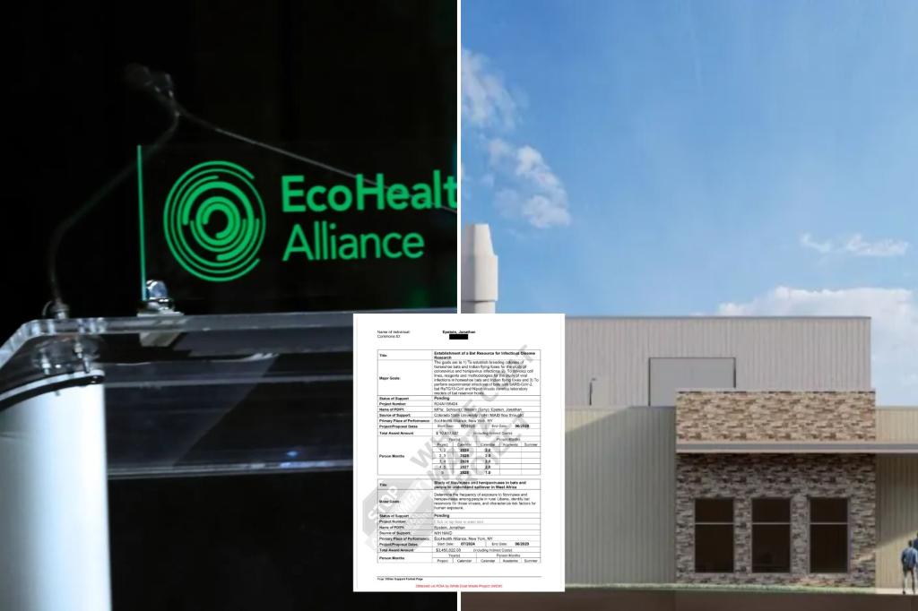 Exclusive | EcoHealth Alliance had ‘pending’ M grants to study Marburg, other viruses before federal suspension