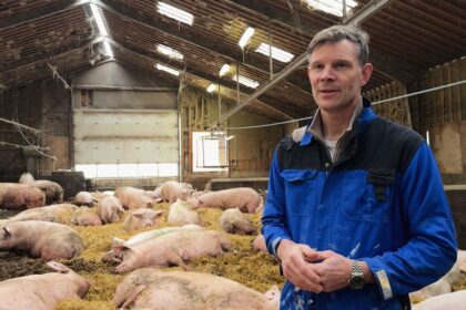 Denmark’s carbon tax on livestock: a model for Europe?