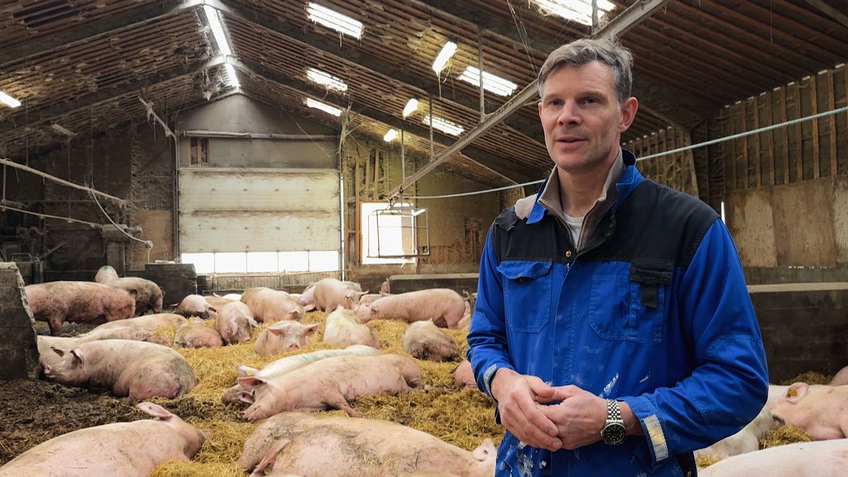 Denmark’s carbon tax on livestock: a model for Europe?