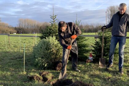 Is a real or artificial Christmas tree better for the environment?