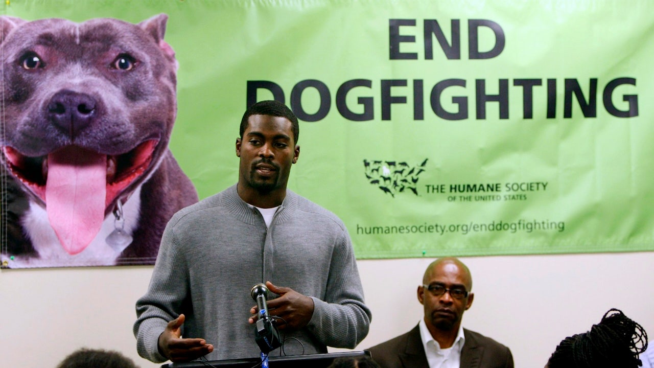 PETA comments on Michael Vick hiring by Norfolk State football team: ‘Charming, charismatic psychopath’