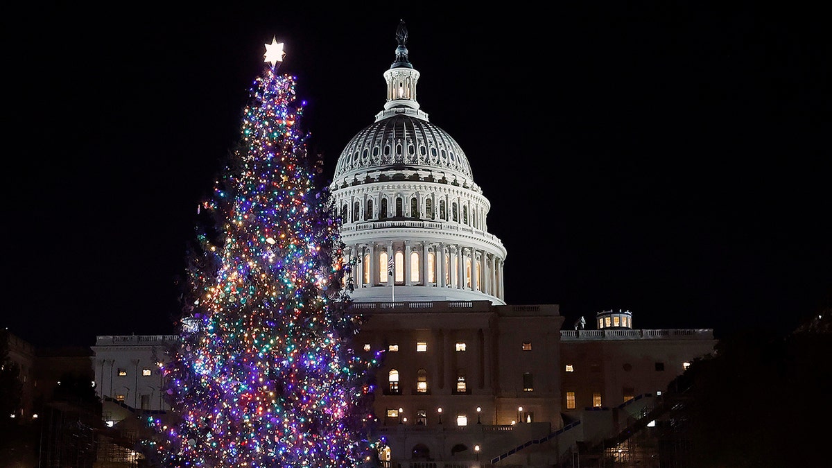 U.S. Capitol Christmas Tree Lit For Holiday Season