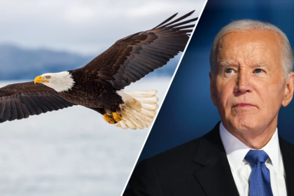 It’s official: Biden signs new law, designates bald eagle as ‘national bird’