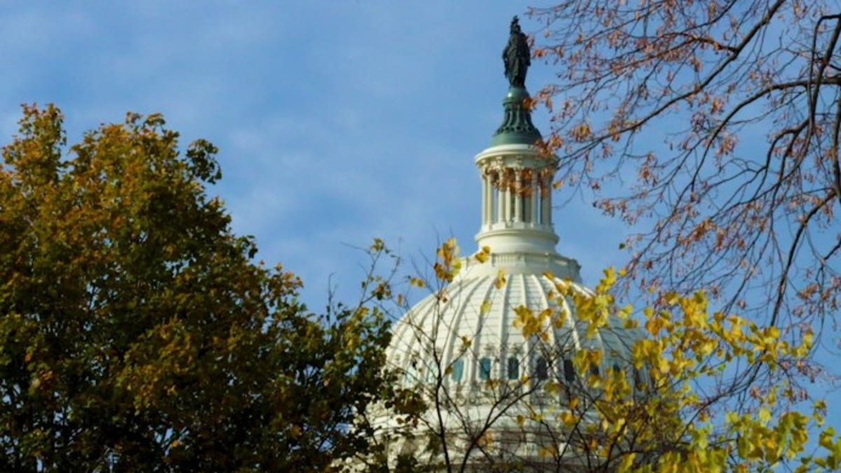 US Capitol dome framed by trees