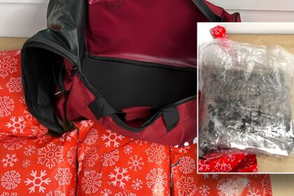 Woman arrested for attempting to smuggle 22 pounds of meth wrapped as Christmas gifts in carry-on bag