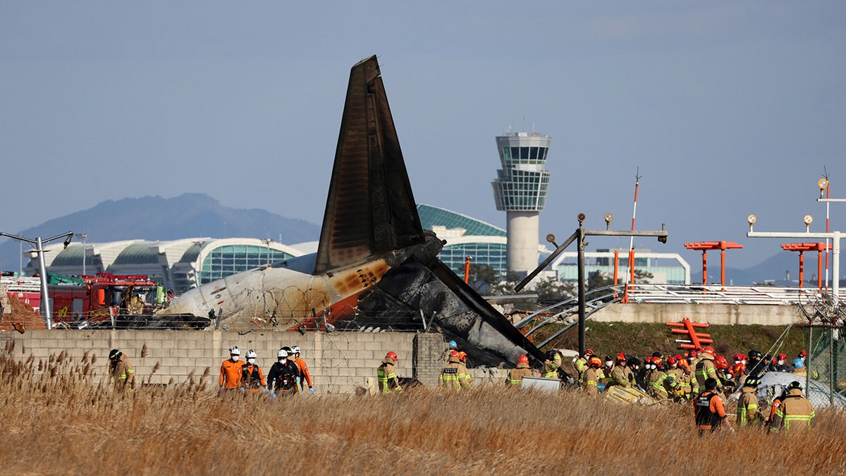 South Korea plane crash tail closeup