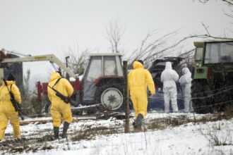 First foot-and-mouth disease outbreak in Germany for 35 years