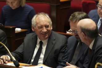 New French PM François Bayrou survives no-confidence vote