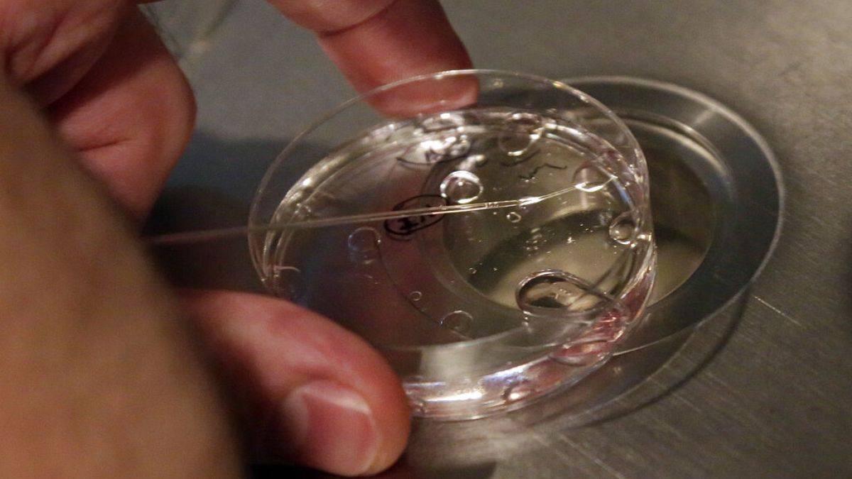 Poland welcomes first birth since IVF policy change