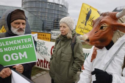 Poland seeks to break EU deadlock on GMO deregulation