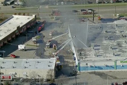 More than 500 animals killed during fire at Texas shopping center