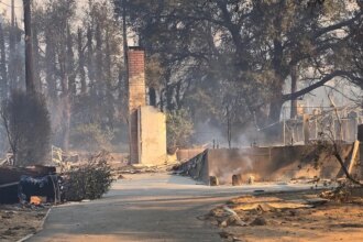 California wildfires: Single mom who lost everything in Eaton Fire hails Altadena’s ‘tenacity’ and ‘spirit’