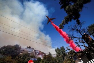 LA wildfires: Aerial firefighters leader says flames should be ‘wake up’ call