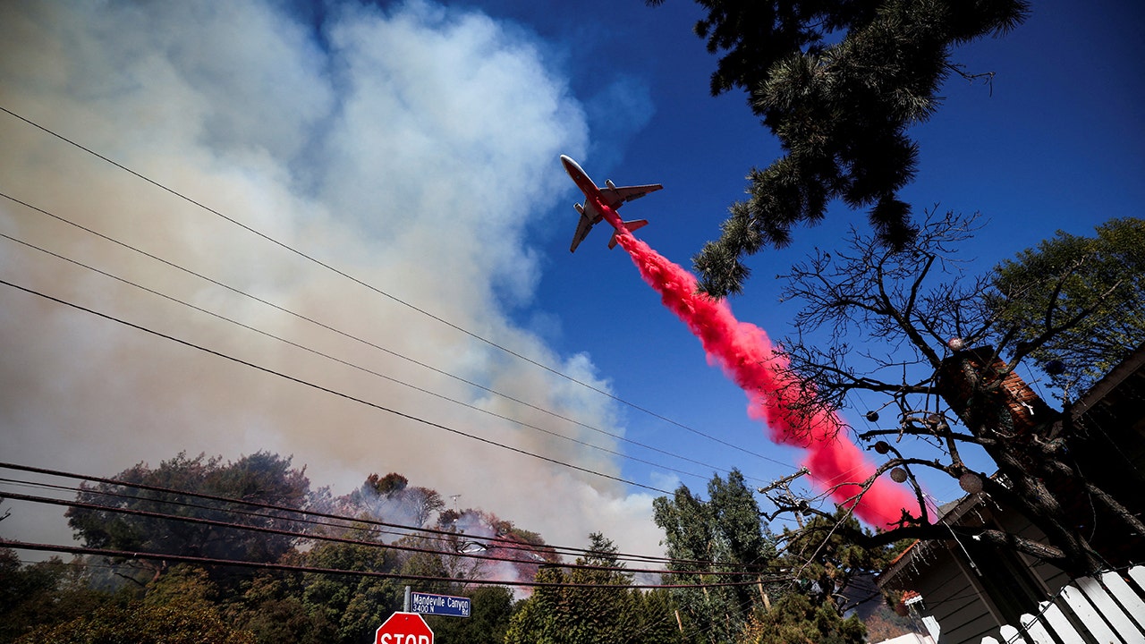 LA wildfires: Aerial firefighters leader says flames should be ‘wake up’ call