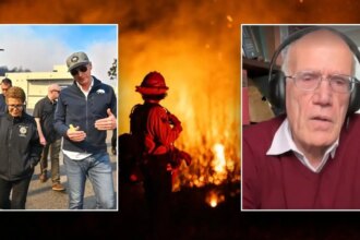 ‘Woke green hydrogen bomb’: Historian blasts California leaders for ‘nonsensical’ wildfire response