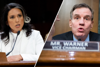 ‘Refuse to be their puppet’: Top 5 moments from Tulsi Gabbard’s confirmation hearing