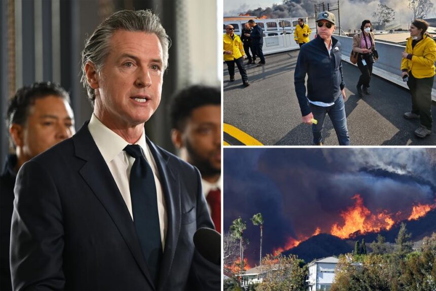 California Gov. Gavin Newsom cut 0M for fire prevention before deadly wildfires: report