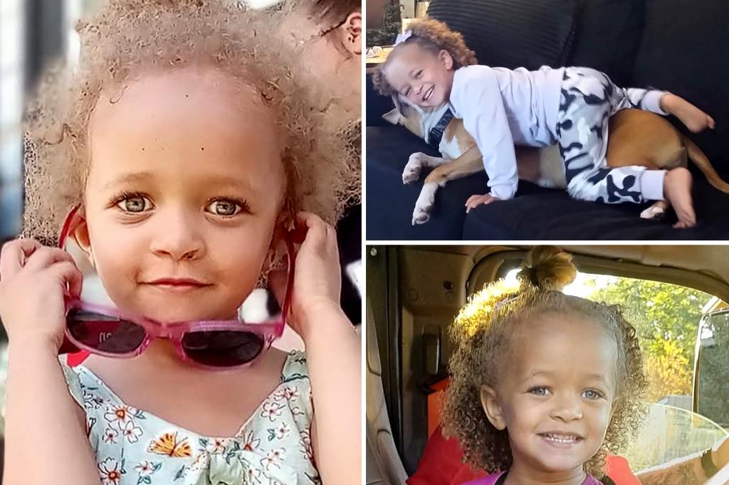 3-year-old girl mauled to death by dogs at Ohio home: ‘I just woke up and my daughter is dead’