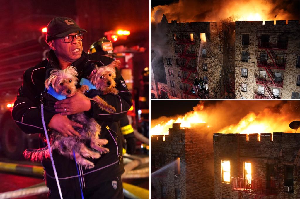 Bronx fire leaves 7 injured as 200 firefighters respond to five-alarm blaze