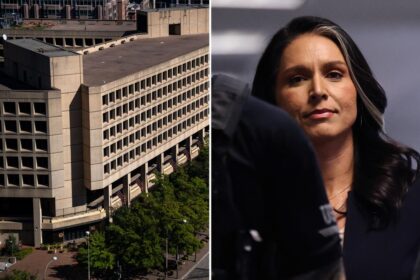 Trump’s DNI pick Tulsi Gabbard defends controversial foreign spy power she once opposed