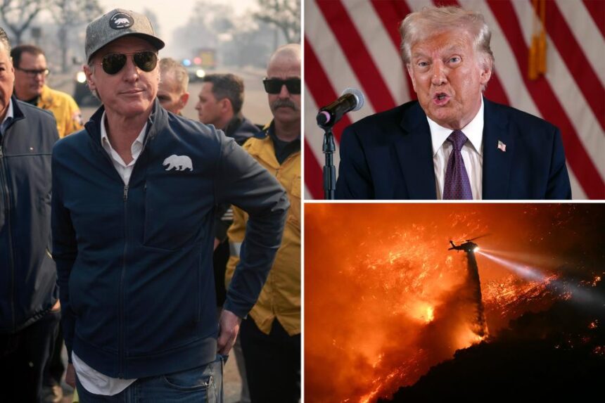 Gavin Newsom hits back at Trump over wildfire blame game, urges him to visit LA: ‘Take a look for himself’