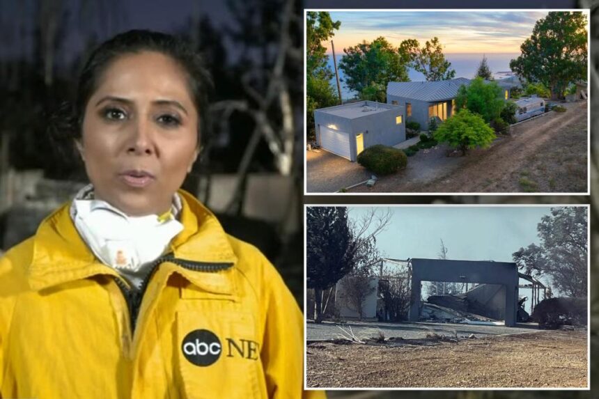 ABC news reporter loses ‘dream home’ in LA fires just one night after she moved in: ‘Total loss’