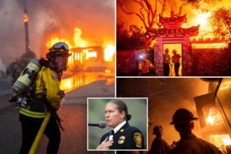 LA fire bosses chose not to deploy available firefighters and engines when Palisades Fire erupted: records