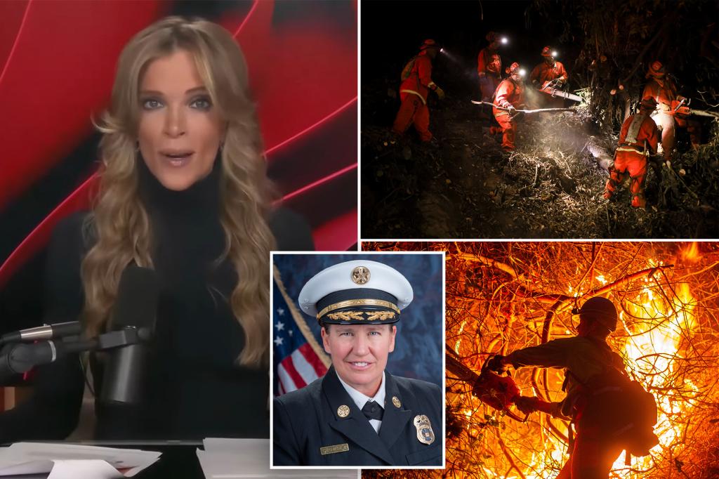 Megyn Kelly blames DEI-obsessed fire department leaders for sending unfit, ‘obese’ lesbians to wildfires: ‘We want a strong man to rescue us’