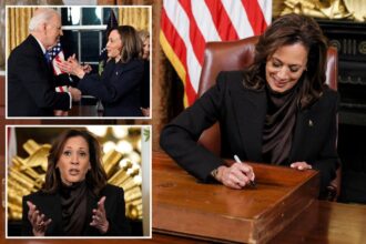 Cackling Kamala vows not to ‘go quietly into the night,’ hints at political future