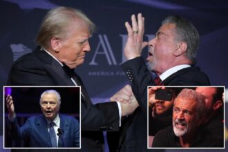 Trump says people must refer to Sylvester Stallone, Jon Voight, and Mel Gibson as ‘Mr. Ambassador’: ‘Back on track’