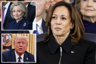 Kamala Harris consulted Hillary Clinton over how to deal with brutal loss to Trump: report