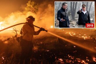 California Gov. Gavin Newsom to crash Trump’s arrival to tour LA fire damage