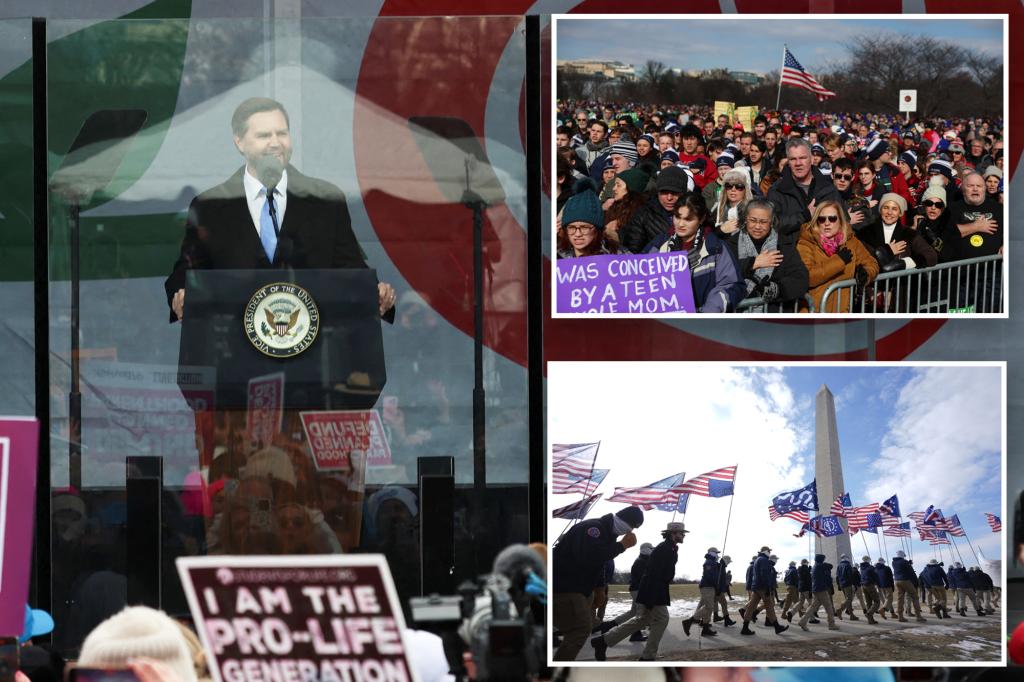 Vance says he wants ‘more babies’ in the US as he and Trump vow to protect unborn children at March for Life