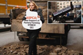 PETA dumps manure outside rival ASPCA’s NYC office — but hits snag over frigid temps