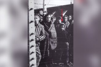 Auschwitz 80 years since liberation: Ryszard Horowitz’s story of survival and making the American Dream