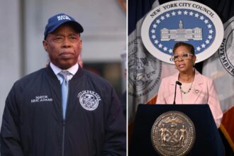 NYC Council pushing lobbying ban  on mayor’s office staffers — but excludes itself from crackdown