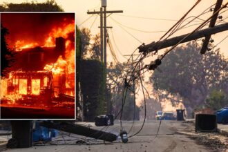 Power grid faults surged right before Los Angeles wildfires began: expert