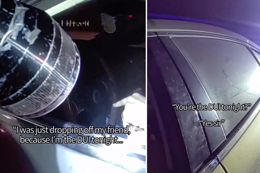 Calif. motorist arrested after mistakenly saying he was the ‘DUI’ during traffic stop: video