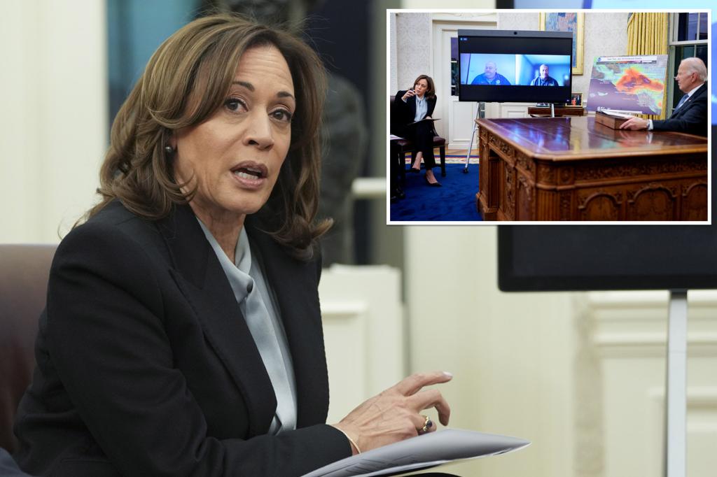 Kamala Harris roasted for ‘word salad’ advice to LA fire victims as lame-duck VP winds down term: ‘Classic Kamala’