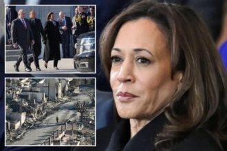 Unemployed Kamala Harris jets back to LA, will hand out food to wildfire vics after weeks of giving them the cold shoulder